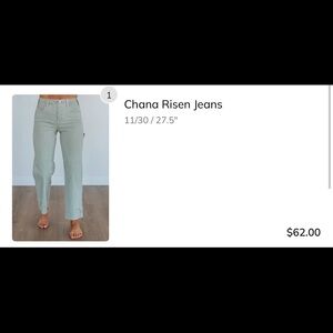 Risen Carpenter Wide Leg Women’s Jeans in Light Sage Green